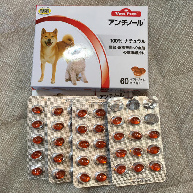 アンチ ノール 犬 用