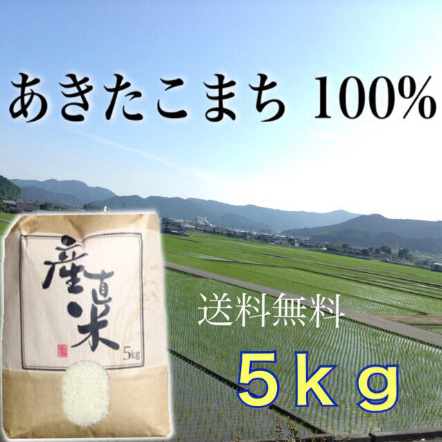 【あき様専用】愛媛県産あきたこまち１００%   ５ｋｇ  一等米 食品/飲料/酒の食品(米/穀物)の商品写真