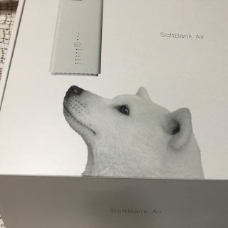 ソフトバンク(Softbank)のSoftBank Air 本体(PC周辺機器)