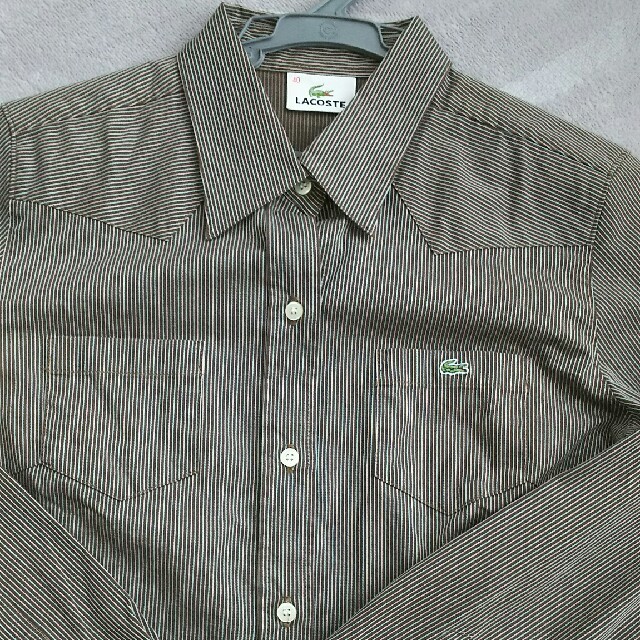 LACOSTE(ラコステ)のラコステ  レディースシャツ  美品 レディースのトップス(シャツ/ブラウス(長袖/七分))の商品写真
