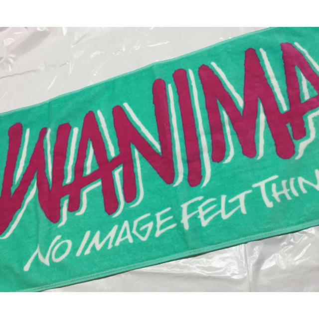 WANIMA(ワニマ)の【新品 未開封 可愛い💖ミントグリーン ピザロゴ有り】WANIMA タオル エンタメ/ホビーのタレントグッズ(ミュージシャン)の商品写真