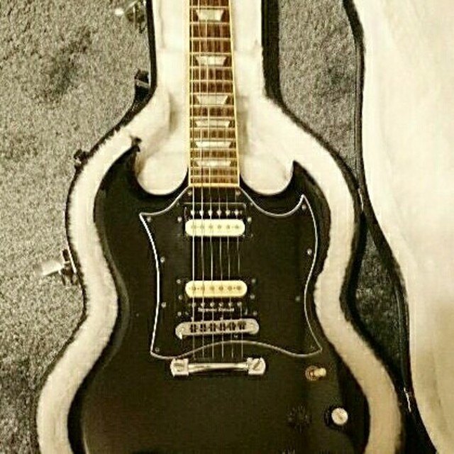 Gibson(ギブソン)の【elisad様専用】 楽器のギター(エレキギター)の商品写真