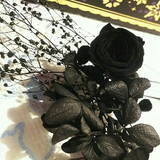 薔薇セットJ 黒紫   ハーバリウム花材☆ローズ  ゴシックセット(プリザーブドフラワー)