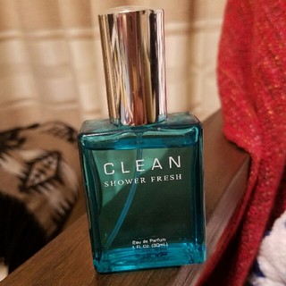 クリーン(CLEAN)のCLEAN*シャワーフレッシュ30ml(ユニセックス)