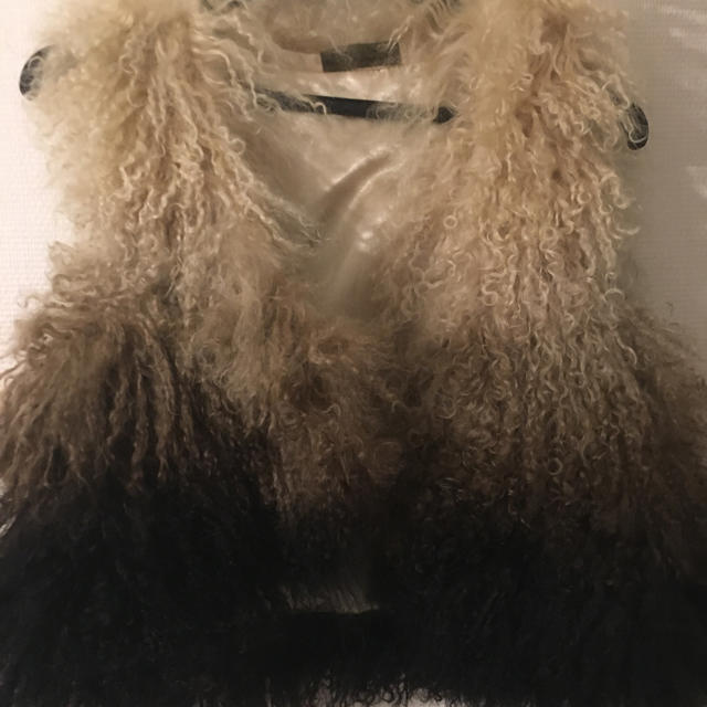goa(ゴア)の専用です✨ レディースのジャケット/アウター(毛皮/ファーコート)の商品写真