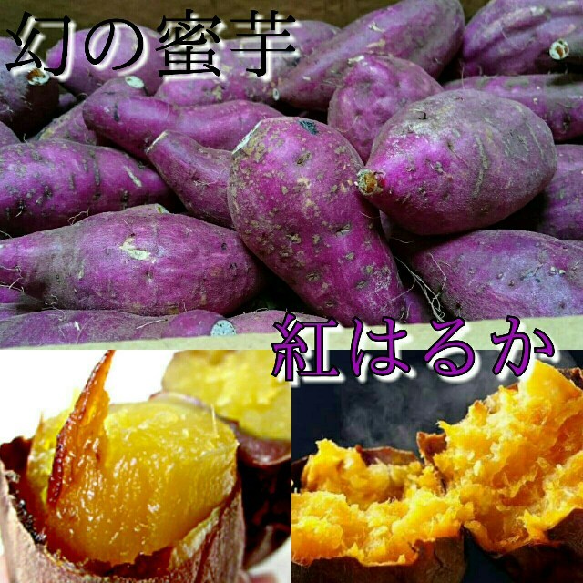 《最安値！》幻の蜜芋紅はるか約10kg 送料無料2 食品/飲料/酒の食品(野菜)の商品写真