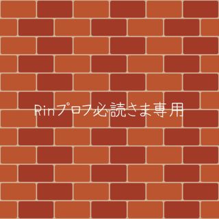 Rinプロフ必読さま専用(各種パーツ)