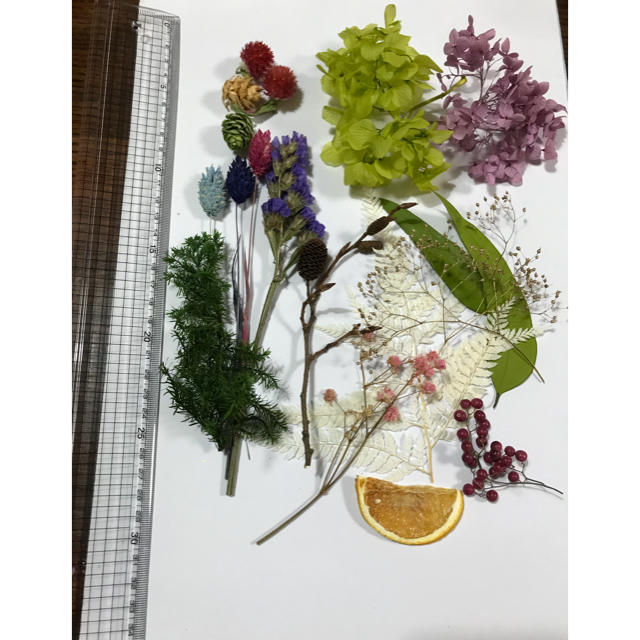 ハーバリウム 花材セット ハンドメイドのフラワー/ガーデン(その他)の商品写真