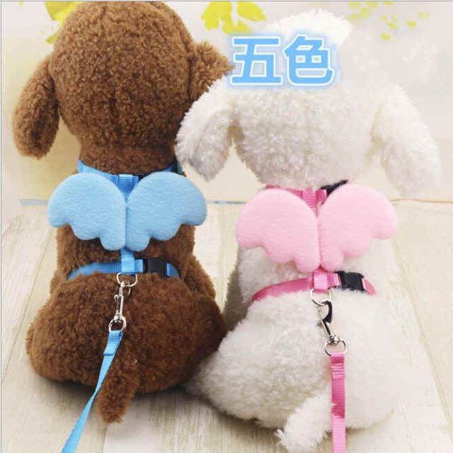 天使の羽根　ハーネス＆リード　犬用　けん引ロープ  Mサイズ  ブルーorピンク その他のペット用品(犬)の商品写真