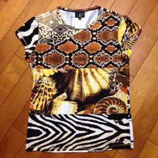 ジャストカヴァリ(Just Cavalli)のJust Cavalli 総柄カットソー(カットソー(半袖/袖なし))