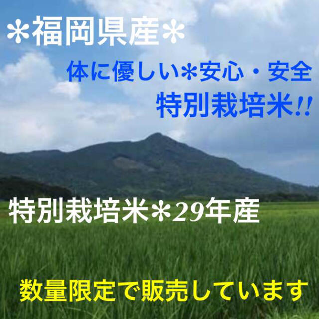 福岡県産✻特別栽培米『百年米』元気つくし 玄米2kg((精米後1.8kg強)) 食品/飲料/酒の食品(米/穀物)の商品写真