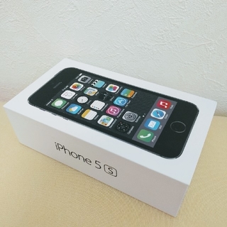 アップル(Apple)のKissy様専用　iPhone5s 空箱(iPhoneケース)