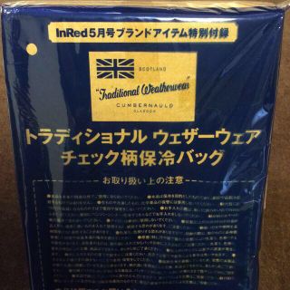 新品☆InRed付録チェック柄保冷バッグ(ハンドバッグ)