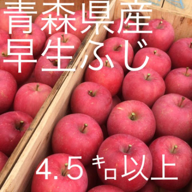 りんご 早生ふじ 青森県産 送料込み 食品/飲料/酒の食品(フルーツ)の商品写真