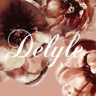 デイライルノアール(Delyle NOIR)のaripipi様専用♡11日中まで♡(セット/コーデ)