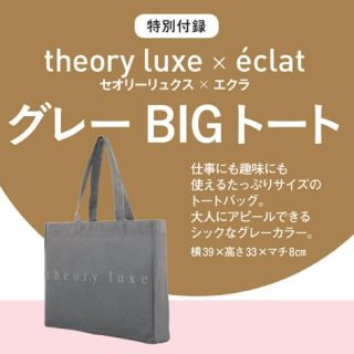 セオリーリュクス(Theory luxe)のeclat(エクラ)10月号付録theory luxeキャンバス風トート(トートバッグ)