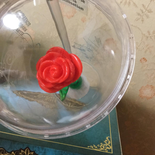Disney 日本未発売 美女と野獣 魔法の薔薇 タンブラー ベル プリンセス ホットトピックの通販 By Rootty Hill ディズニー ならラクマ Disney 日本未発売 美女と野獣 魔法の薔薇 タンブラー ベル プリンセス ホットトピックの通販 By Rootty Hill ディズニー ならラクマ