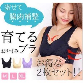 ナイトブラ新品 ナイトブラ育乳 2枚セット ブラジャー新品 ブラック(ブラ)