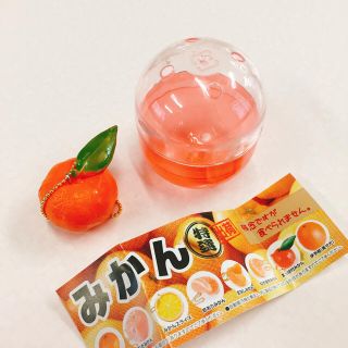 【新品未使用】みかんシリーズ  (その他)