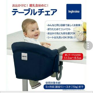 イングリッシーナ(Inglesina)のイングリッシーナ　グレージュ(その他)