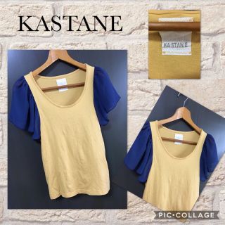 カスタネ(Kastane)のKASTANE 半袖カットソー シフォン バタフライ レディースFREE(カットソー(半袖/袖なし))