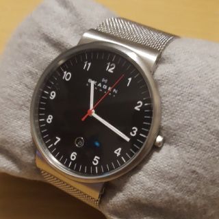 スカーゲン(SKAGEN)のSKAGEN　skw6051(腕時計(アナログ))