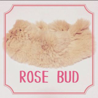 ローズバッド(ROSE BUD)のROSEBUD ラビットファーヘアバンド(ヘアバンド)