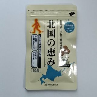 北国の恵み　膝や腰の痛みにプロテオグリカン(コラーゲン)