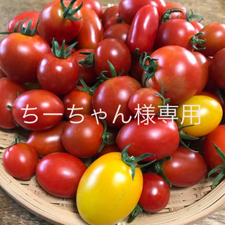 ちーちゃん様専用 ミニトマトミックス(野菜)