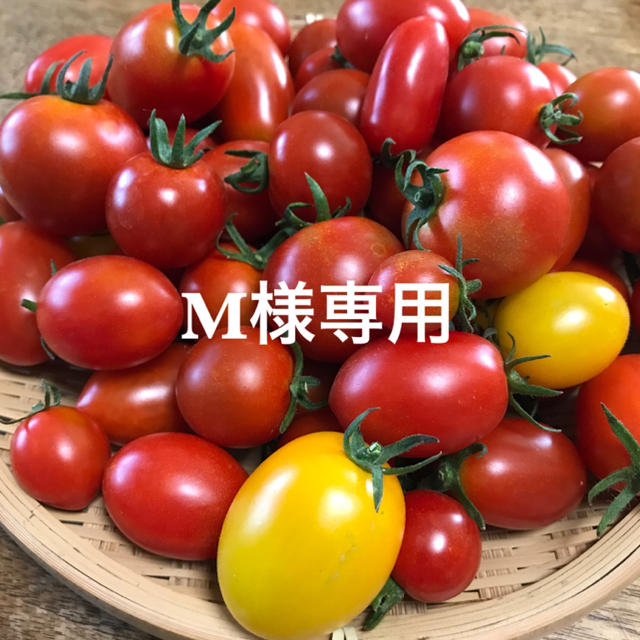 M様専用 ミニトマト ミックス 食品/飲料/酒の食品(野菜)の商品写真