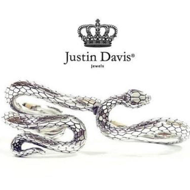 Justin Davis(ジャスティンデイビス)のJustin Davis srj411 TWISTED FATEring レディースのアクセサリー(リング(指輪))の商品写真