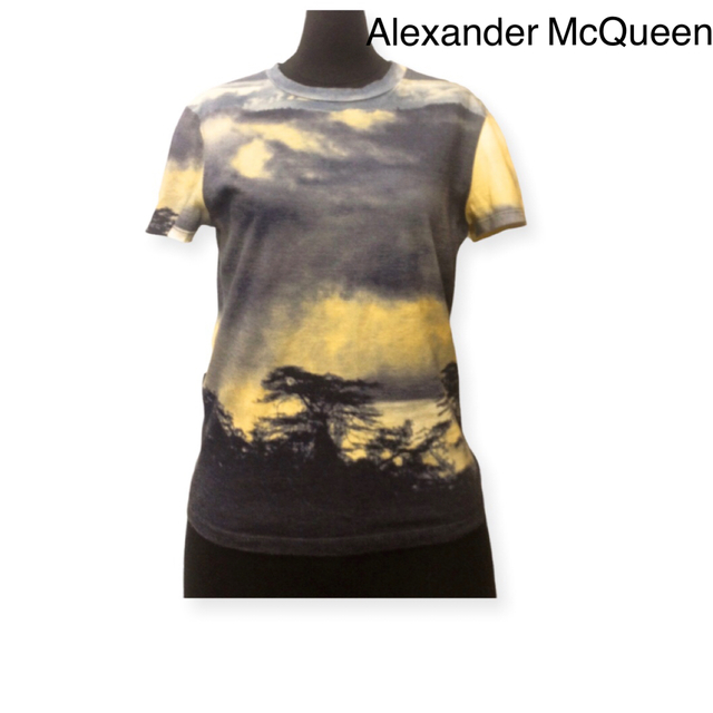 アレキサンダーマックイーン AlexanderMcQueen サファリT | フリマアプリ ラクマ