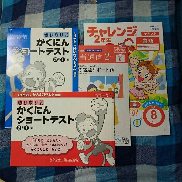 チャレンジ ２年生 ベネッセ 進研ゼミ 小学講座 問題集 小学生の通販 By Isyoa S Shop ラクマ