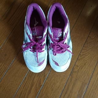 ミズノ(MIZUNO)のMIZUNOバレーボールシューズ24,5センチ(バレーボール)