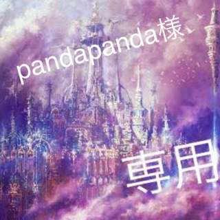 pandapanda様専用(ミュージシャン)