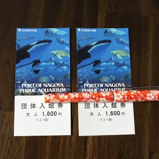 名古屋港水族館チケット(水族館)