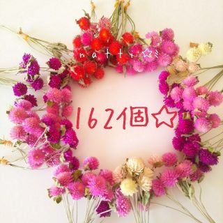 162個*°千日紅 ドライフラワー アソート♡*°(ドライフラワー)