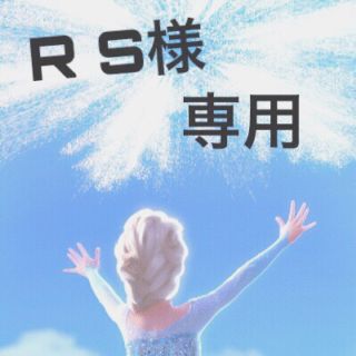R S様 専用(その他)