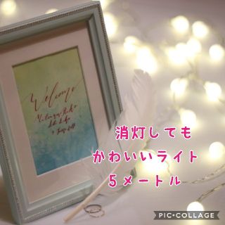 フランフラン(Francfranc)の可愛い♥️ポンポン「イルミネーションライト5m40灯」on/offタイプ♪(その他)