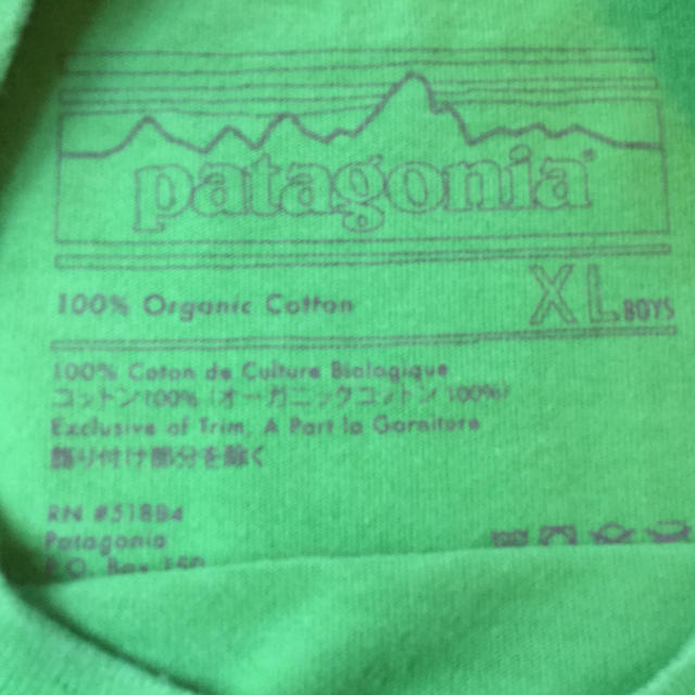 patagonia(パタゴニア)のTシャツ レディースのトップス(Tシャツ(半袖/袖なし))の商品写真