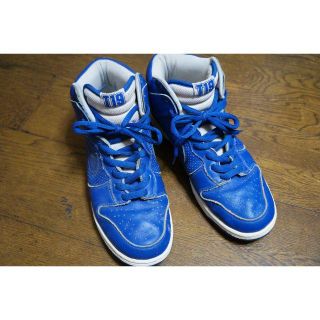 ナイキ(NIKE)のNIKEナイキ DUNK HIGH PROT-19 ダンクT19 29.5cm(スニーカー)