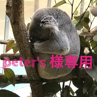 peter's様専用(ボレロ)