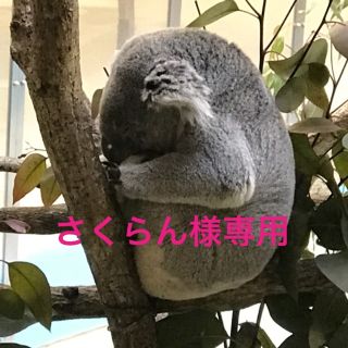 さくらん様専用(パンツ/スパッツ)