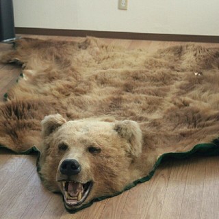 昭和61年の熊の毛皮 敷物 ラグマット カーペット 絨毯