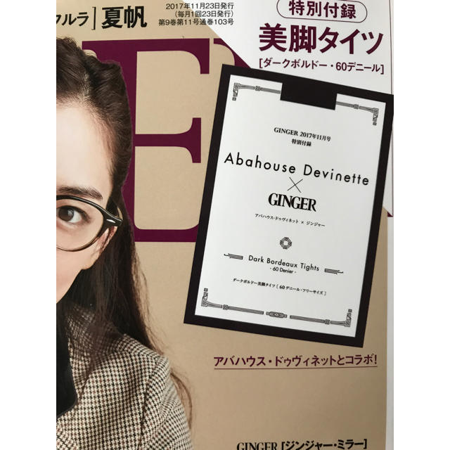 Abahouse Devinette(アバハウスドゥヴィネット)の本日限定値下げ GINGER 11月号 付録 タイツ レディースのレッグウェア(タイツ/ストッキング)の商品写真