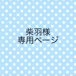 ブイシックス(V6)のＶ６ キーホルダー(その他)