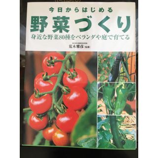 野菜づくり 本(住まい/暮らし/子育て)