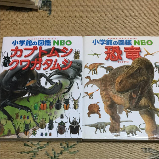 小学館(ショウガクカン)の【図鑑】小学館の図鑑Neo カブトムシクワガタムシ＆恐竜２巻セット エンタメ/ホビーの本(語学/参考書)の商品写真