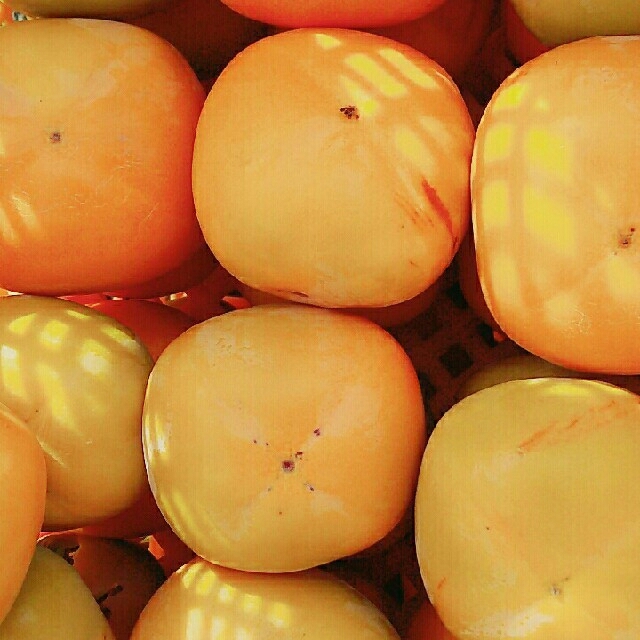 刀根早生柿 約7.5㎏ 小玉 食品/飲料/酒の食品(フルーツ)の商品写真