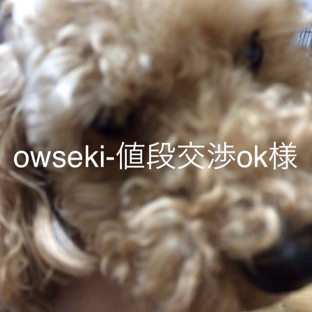 owseki-値段交渉ok様返品用 レディースの靴/シューズ(ハイヒール/パンプス)の商品写真